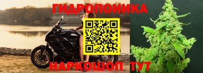 дмт Заволжье