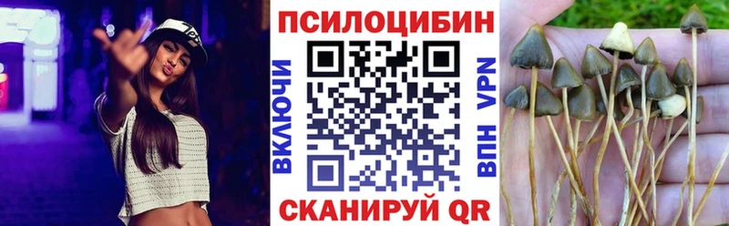 Псилоцибиновые грибы Psilocybe закладка Черногорск