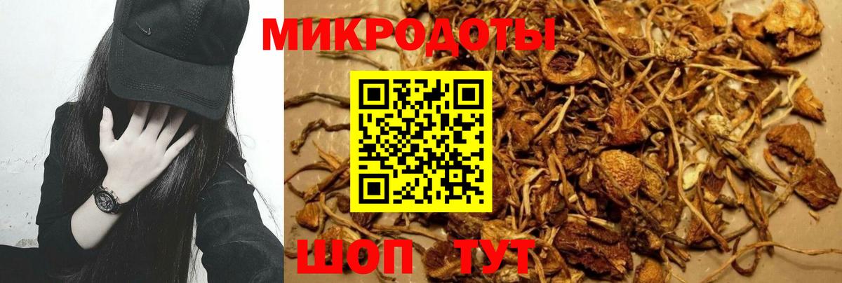 Галлюциногенные грибы прущие грибы  Псилоцибиновые грибы Psilocybe  Черногорск  Вход с VPN 