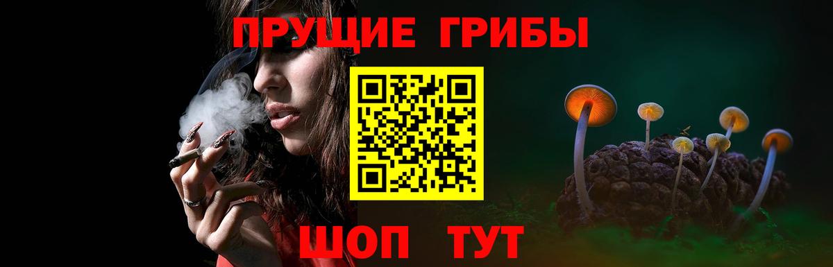 Псилоцибиновые грибы мухоморы  Черногорск  Галлюциногенные грибы Psilocybe 