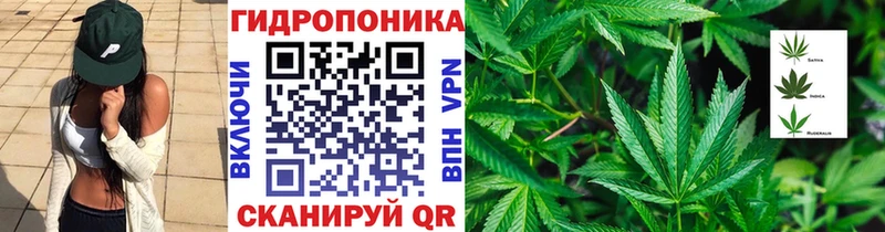 Конопля сатива  OMG зеркало  Черногорск 