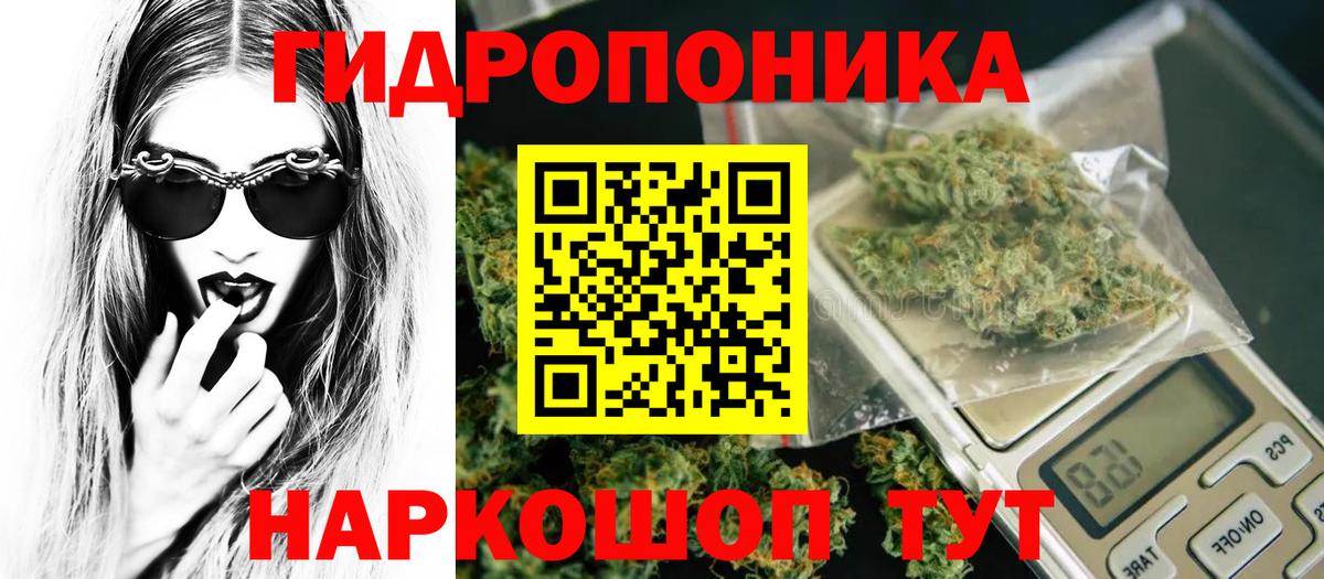 Бошки марихуана семена  Марихуана White Widow  Вход с VPN  Бошки марихуана SATIVA & INDICA  Черногорск 